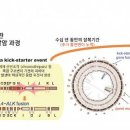 비흡연자도 폐암 걸리는 원인 규명했다 이미지