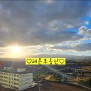 레몬공인중개사사무소 이미지