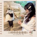 유동물원 | 부산 라라쥬 동물원 실내 데이트 후기