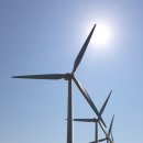 미미기업 이미지