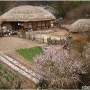 시골머슴