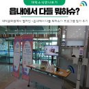 트롯 디스코 장구 | 대덕문화원에서 펼쳐진 &lt;읍내에서 다들 뭐하슈?&gt; 프로그램 참가 후기