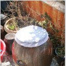 (12/15) 배추김치 담그기 이미지