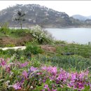 도안농장 이미지