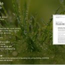 양귀비한의원 이미지