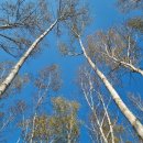 초연약국 이미지