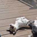 대구민박 이미지