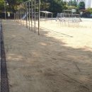 대구월성초등학교 이미지