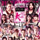 싸이코 핏불스 이미지