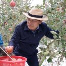 도평동경로당 이미지