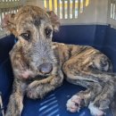 목포항도초등학교 이미지