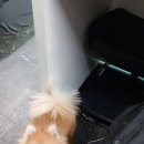 부자카서비스 이미지