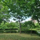 야외무대 화장실 이미지