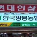 한국인삼총판 - 강릉시 | 한국인삼총판