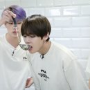 석찌니네 이미지