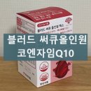 유명약품 | 동화약품 블러드써큐올인원 내돈내산 후기 혈행케어 효과 성분 복용 후기