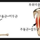 덕영수퍼