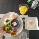 플래티넘호텔 | 오사카 호텔 스위소텔 난카이 오사카 아코르 플래티넘 후기