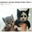 야 이미지