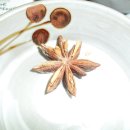 본토반점 이미지