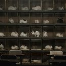 영생동물병원 이미지