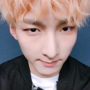 주호 Daum카페