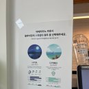 블루샥 일광역점 네이버블로그
