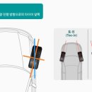 라이온모터스 이미지