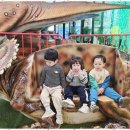 행복이가득한어린이집 이미지