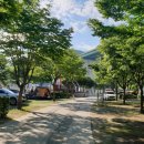 대강오토캠핑장 이미지