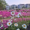한국교원대 교육연구관 이미지