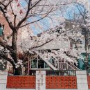 연남동벚꽃집 이미지