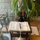 노이알트 이미지