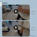 용산강아지호텔 ㅡ 안심하고 맡길 수 있는 딩고코리아