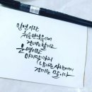 터치라인미