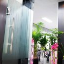 이안인터내셔날 이미지