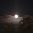 하늘슈퍼 이미지