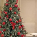 중앙로4가지선 | 대구 중구 딸기케이크 큐브라떼 맛집 중앙로역 근처 슬로우터틀카페 추천