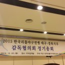 2015 한국리틀야구연맹 대구,경북지부 총회 이미지
