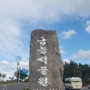 금능석물원[남] 네이버블로그