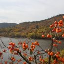 버든농장 이미지