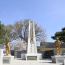 황성공원 풋살구장 이미지