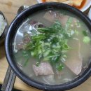 장기식당 | 포항 죽도시장 로컬 맛집 장기식당 곰탕 후기