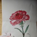 ''대한리더스학원 학생들이 그만두는 제일 많은 이유...사당동 남성역 초중고 영어 수학 과학/수업 후기