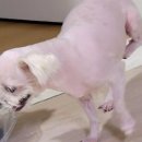 몽몽살롱 이미지