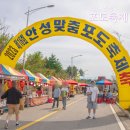 쌍문만원족발이로운푸드 | 2023 안성맞춤 포도축제 다녀온 후기