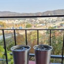 순암로36번길 이미지