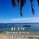 손경희헤어