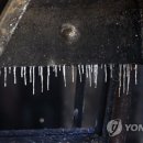 쌍방울주 이미지