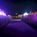 도그팰리스 이미지